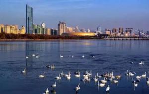 三門峽又一網(wǎng)紅景點(diǎn)，確定不來(lái)pick一下？